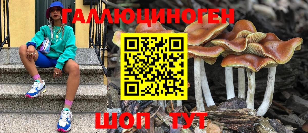Воткинск  Галлюциногенные грибы Magic Shrooms  Вход с VPN 