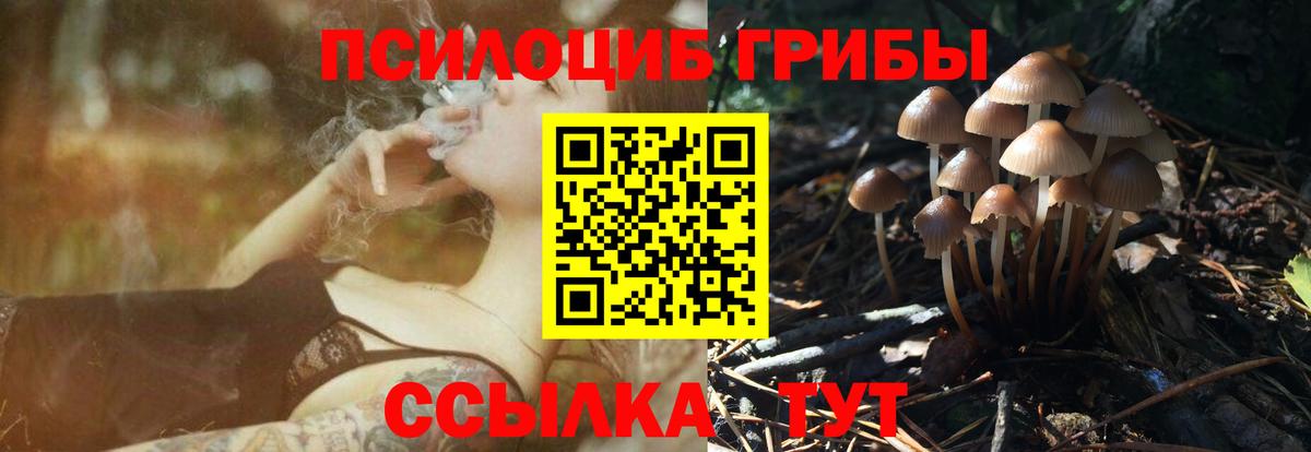Псилоцибиновые грибы GOLDEN TEACHER Воткинск